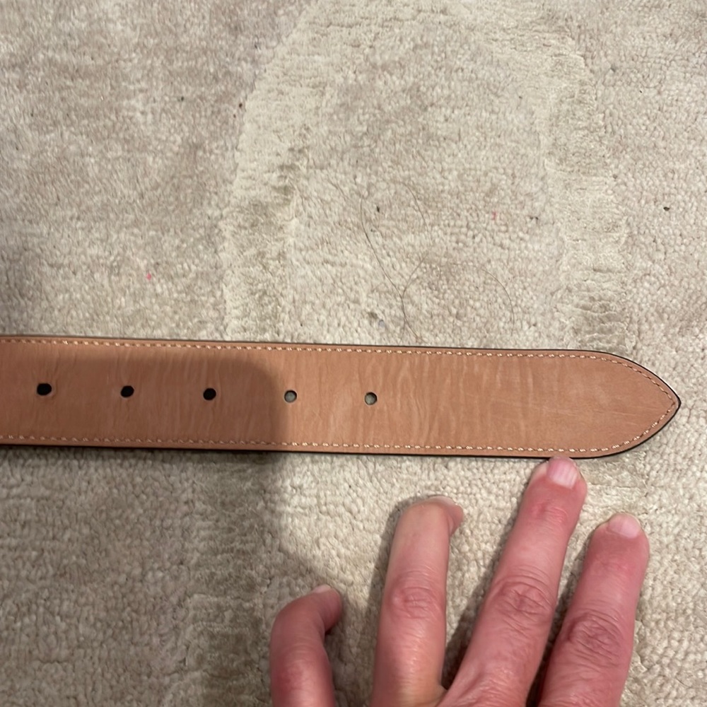 Fendi Women’s Python Print Logo Belt - image 4